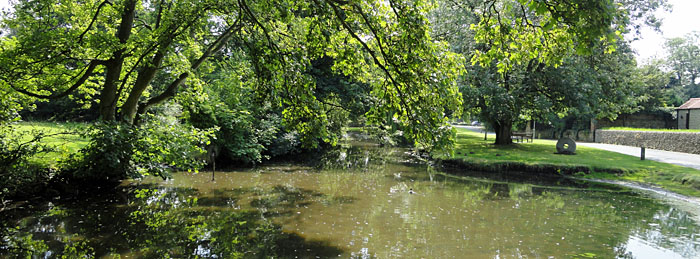 Picturesque River Derwent at East Ayton near Scarborough (Copyright - Go North Yorkshire) Picturesque photo of River Derwent at East Ayton near Scarborough