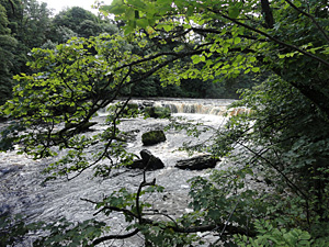 Photo of Aysgarth Falls in Wensleydale North Yorkshire
