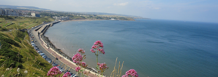 Photo of North Bay Scarborough